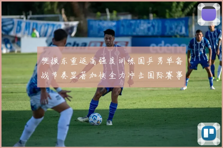 樊振东重返高强度训练国乒男单备战节奏显著加快全力冲击国际赛事